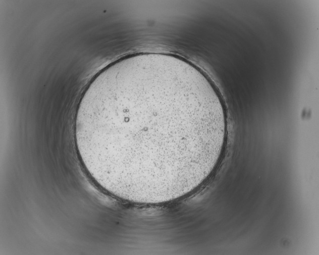 X0000111250433200907231557