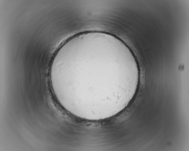 X0000111250434200907231557