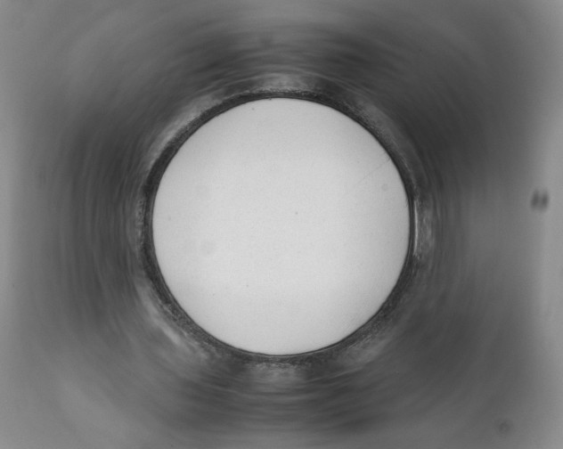 X0000111250435200907231557