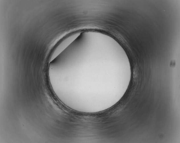 X0000111250436200907231557