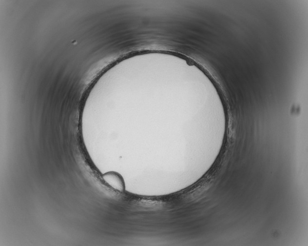 X0000111250437200907231557