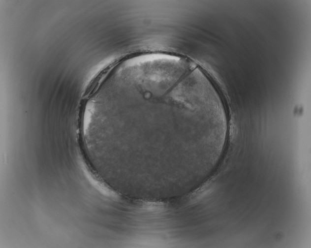 X0000111250438200907231557