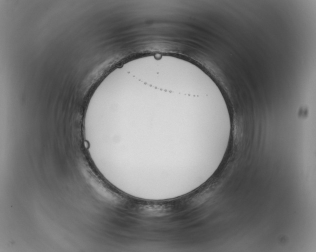 X0000111250445200907231557