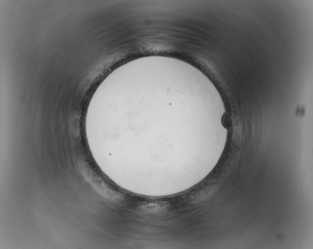 X0000111250447200907231557