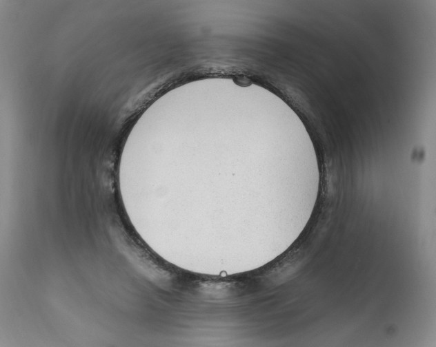 X0000111250450200907231557