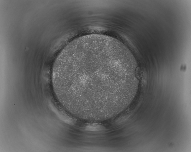 X0000111250451200907231557