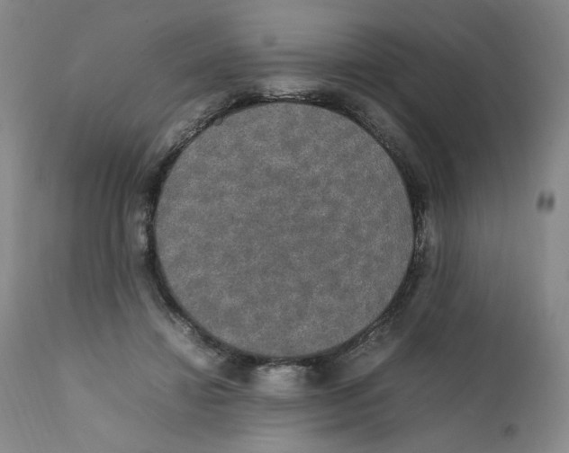 X0000111250452200907231557