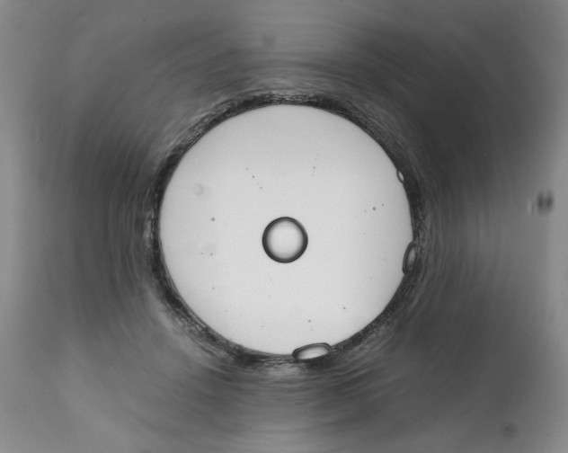 X0000111250456200907231557