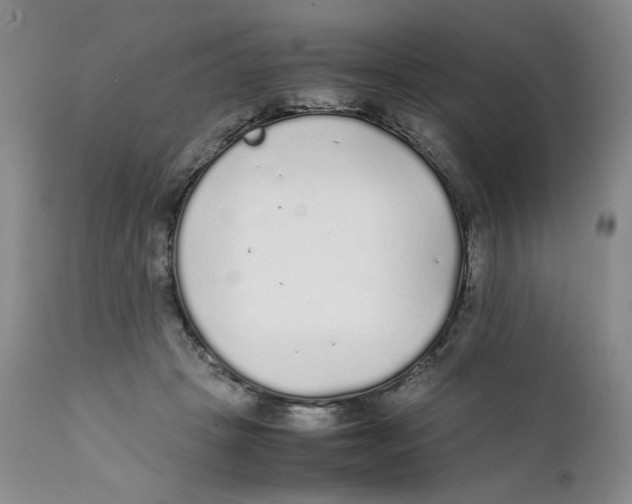 X0000111250457200907231557