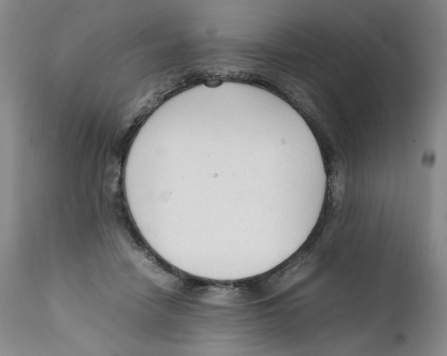 X0000111250458200907231557