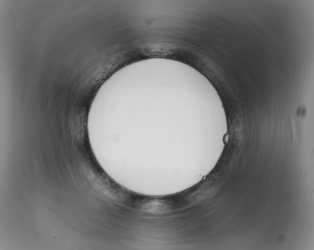 X0000111250460200907231557