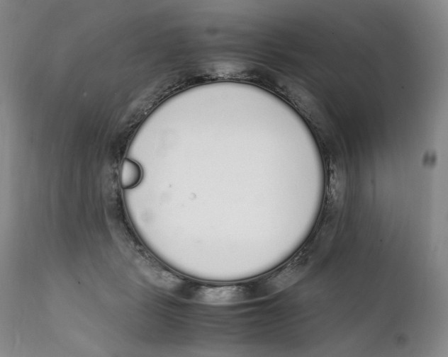 X0000111250461200907231557