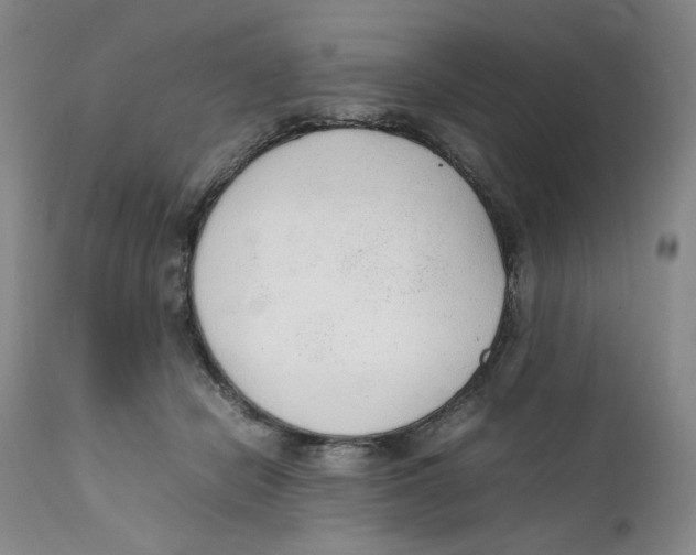 X0000111250462200907231557