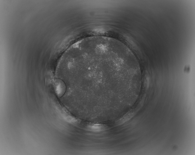 X0000111250467200907231557