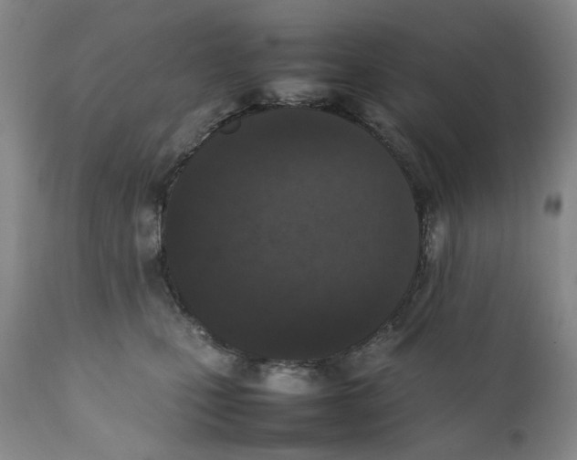 X0000111250471200907231557