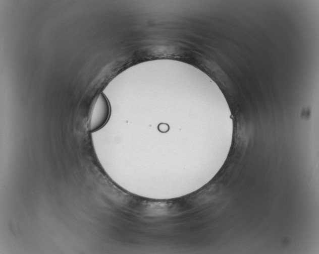 X0000111250473200907231557