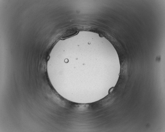 X0000111250474200907231557