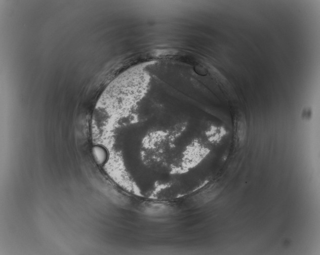 X0000111250475200907231557