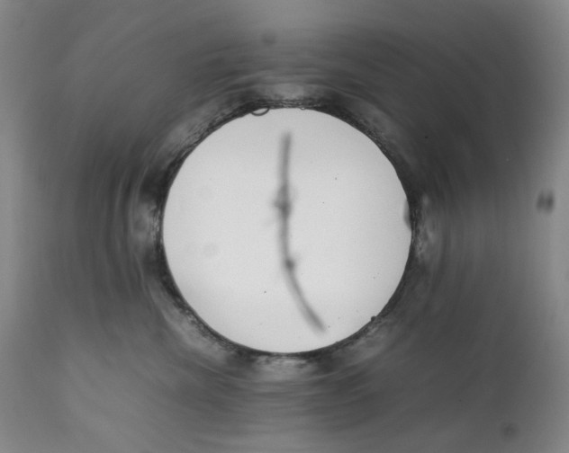 X0000111250476200907231557