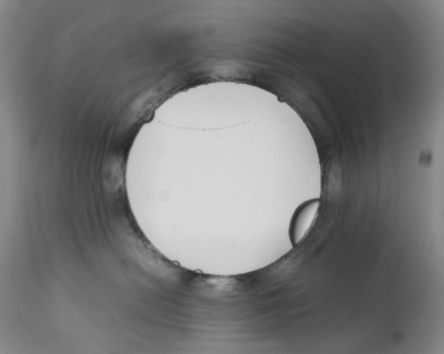 X0000111250478200907231557