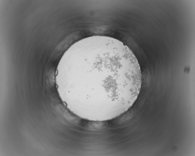 X0000111250479200907231557