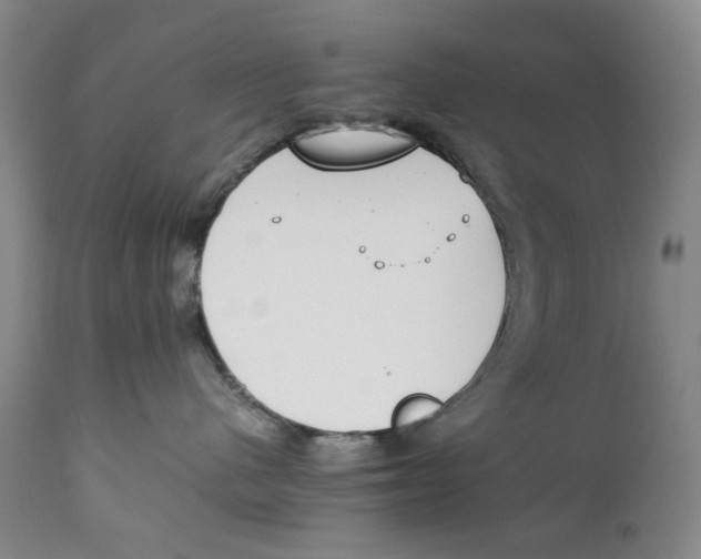 X0000111250480200907231557