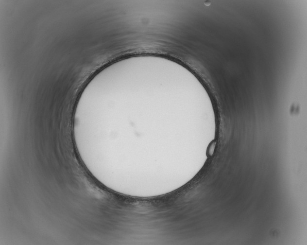 X0000111250481200907231556