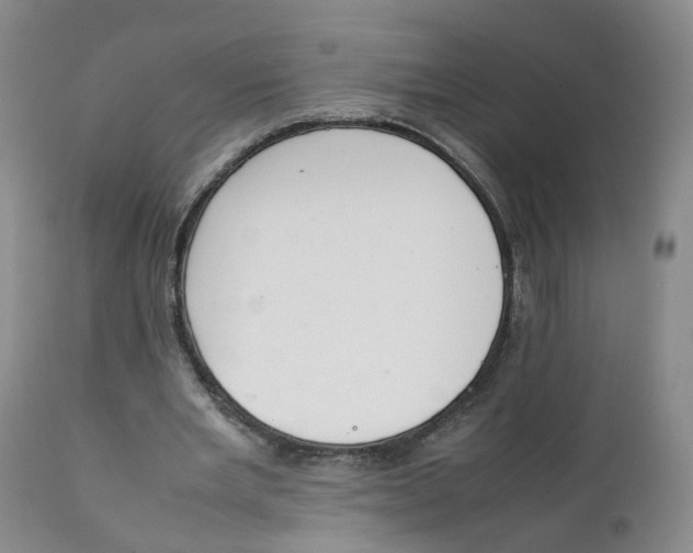 X0000111250485200907231556