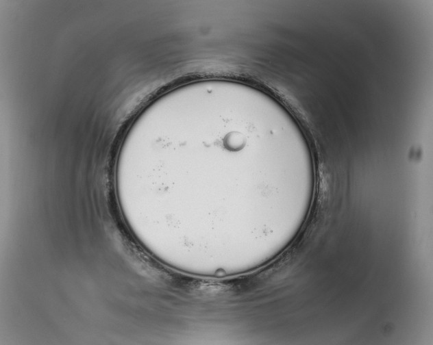 X0000111250487200907231556