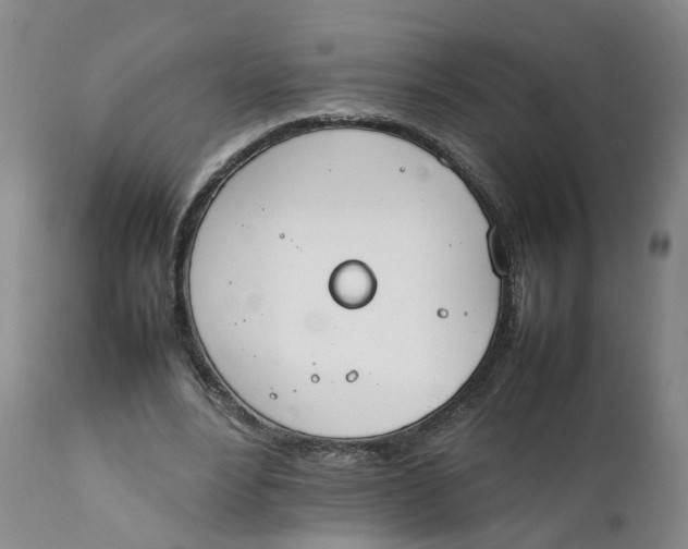 X0000111250488200907231556