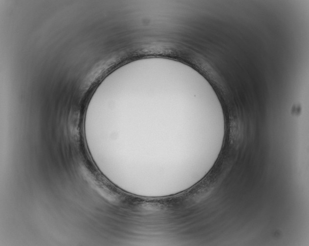 X0000111250490200907231556