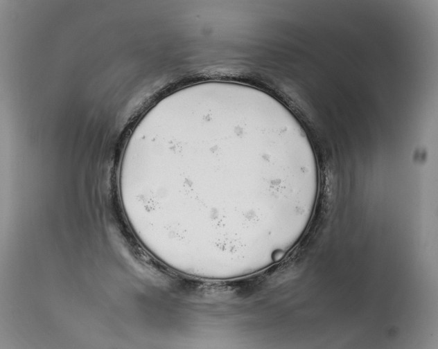 X0000111250491200907231556