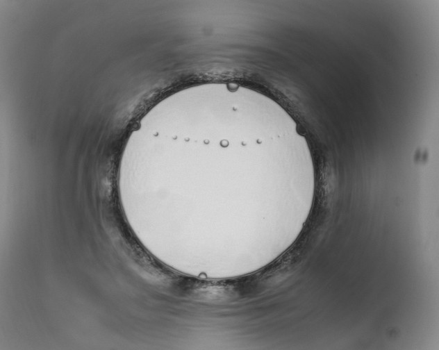 X0000111250499200907231556