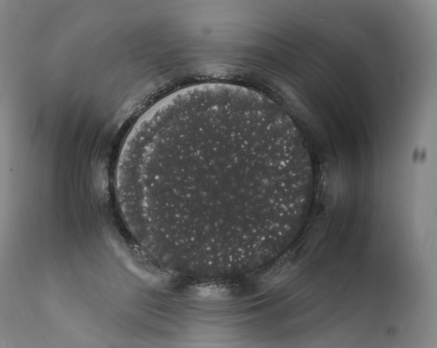 X0000111250500200907231556