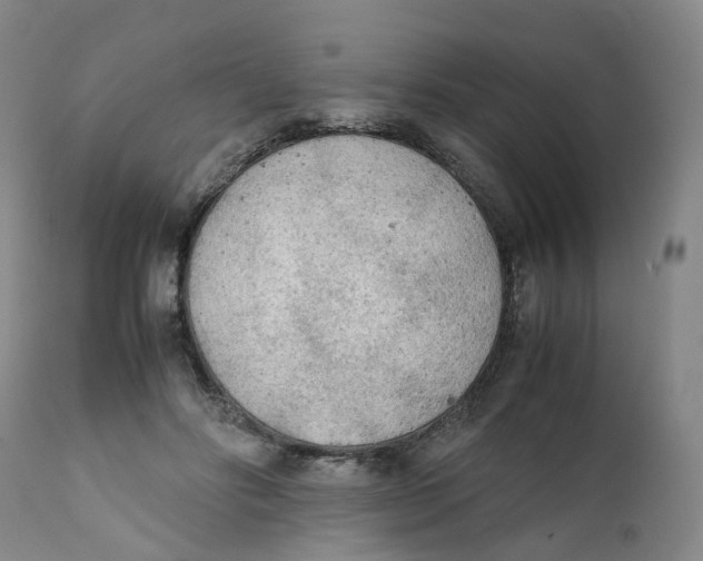 X0000111250502200907231556