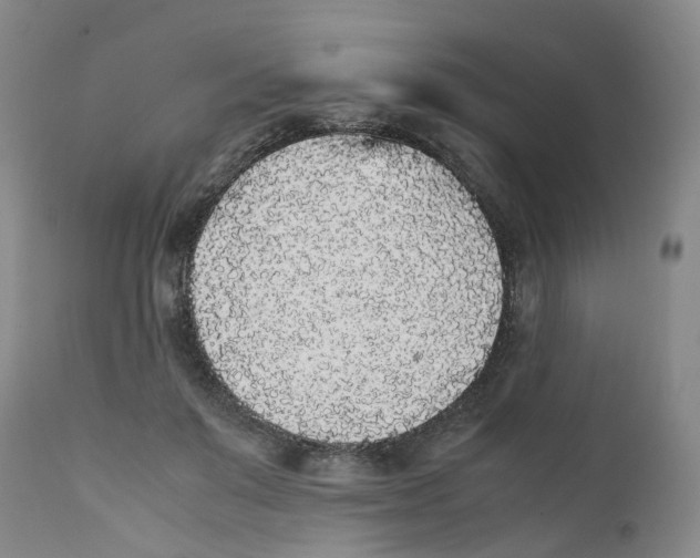 X0000111250503200907231556