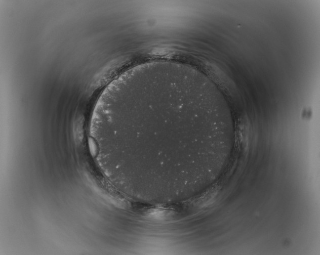 X0000111250504200907231556