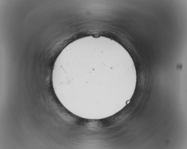 X0000111250505200907231556