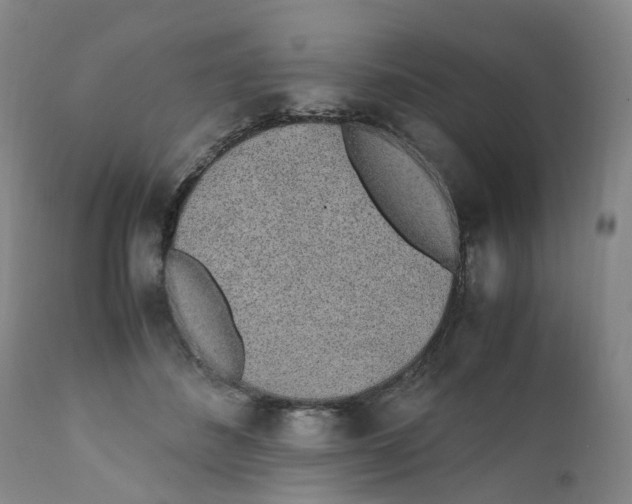 X0000111250508200907231556