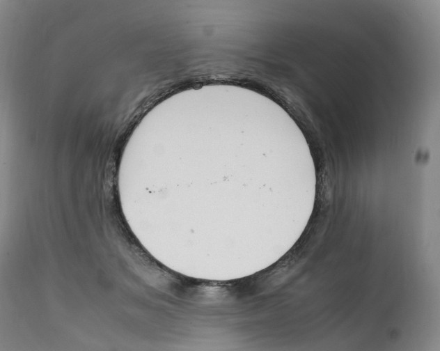 X0000111250509200907231556