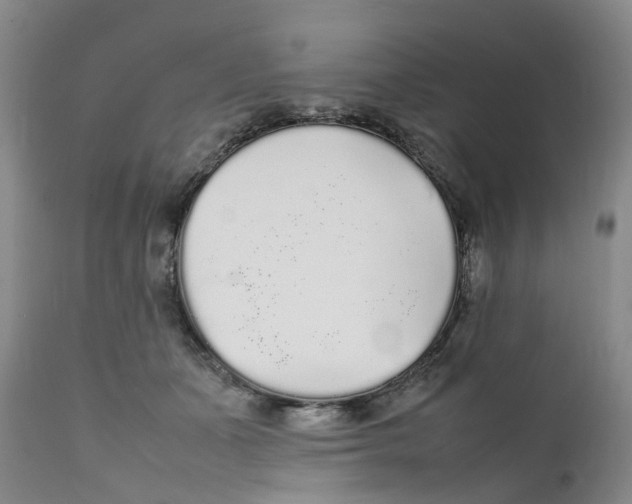 X0000111250511200907231556