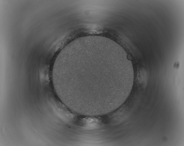 X0000111250512200907231556