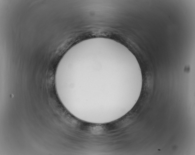 X0000111250513200907231556