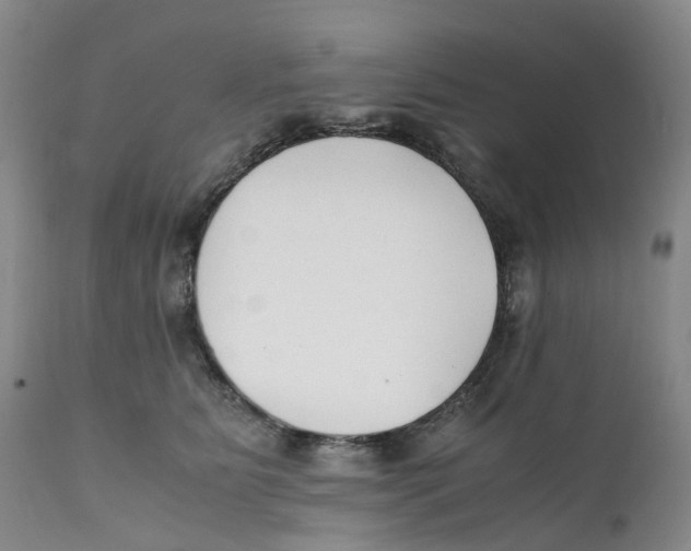 X0000111250515200907231556