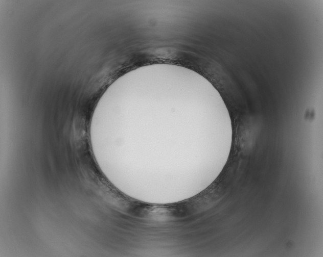 X0000111250518200907231556