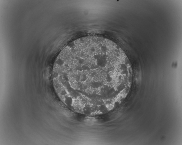 X0000111250519200907231556