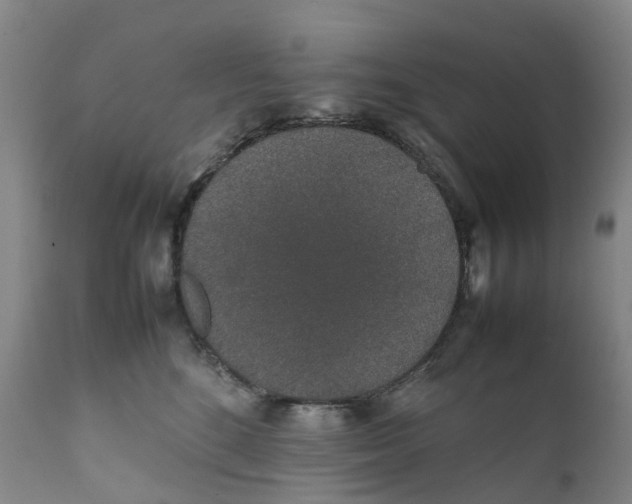 X0000111250520200907231556