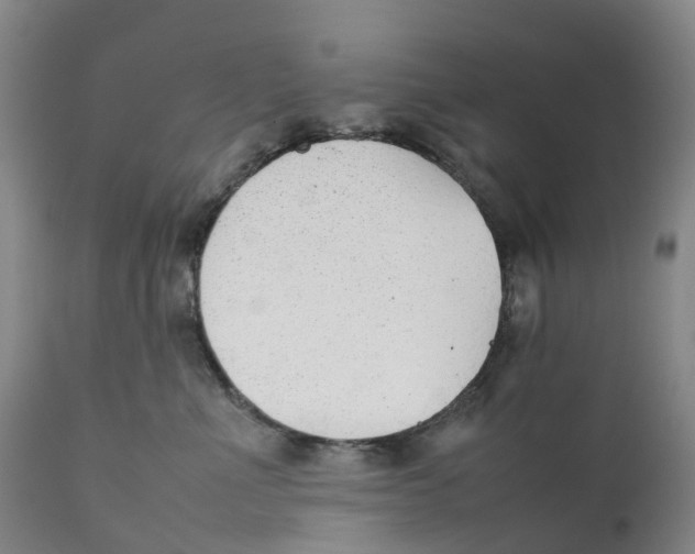 X0000111250523200907231556