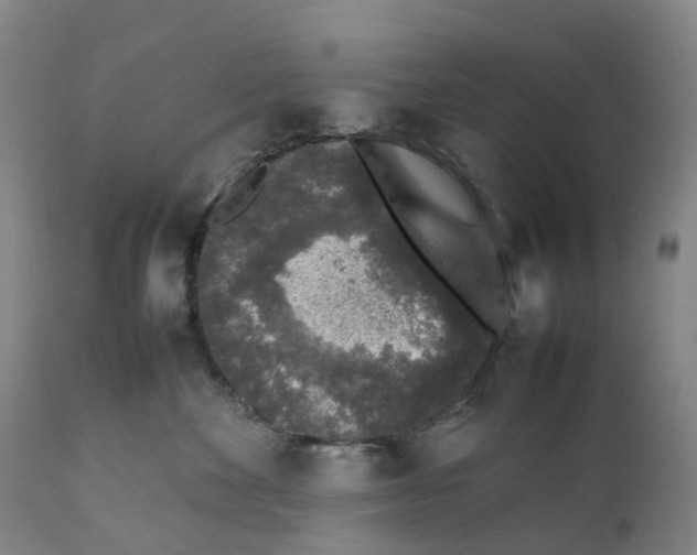 X0000111250524200907231556