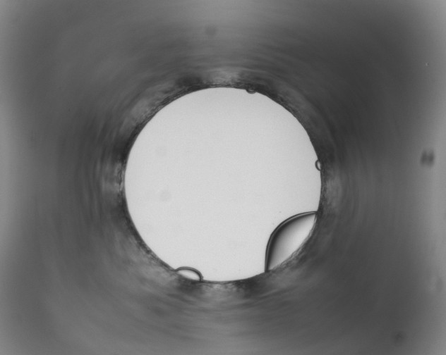 X0000111250525200907231556